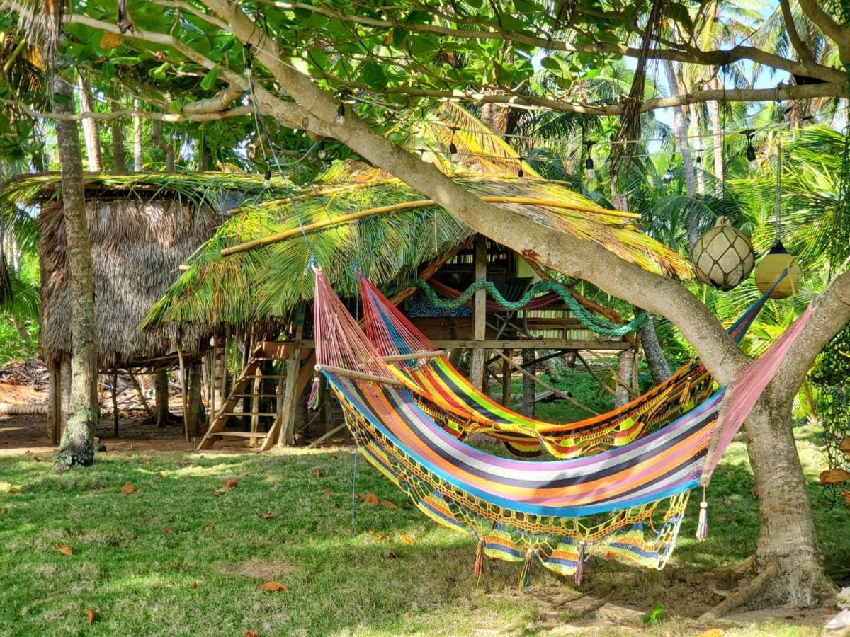 Derek'S Place Eco-Lodge Little Corn Island Eksteriør bilde