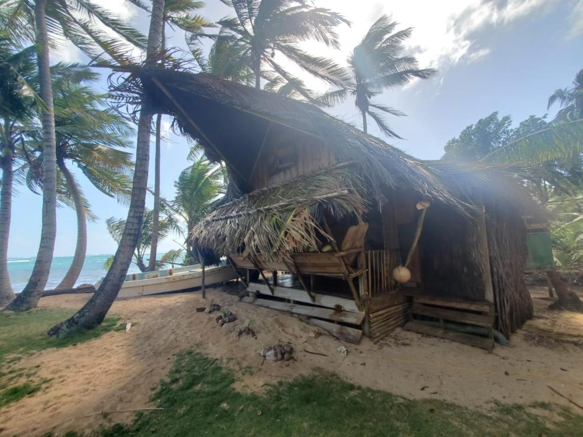 Derek'S Place Eco-Lodge Little Corn Island Eksteriør bilde