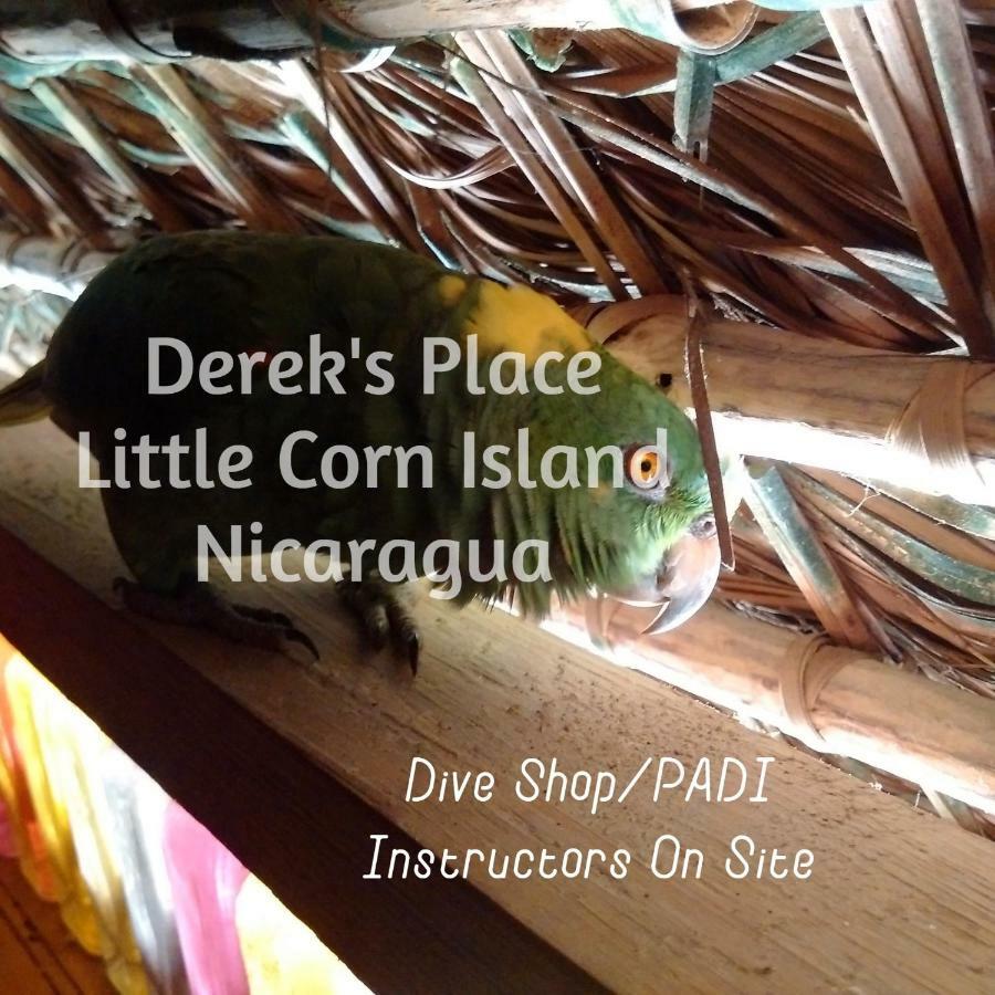 Derek'S Place Eco-Lodge Little Corn Island Eksteriør bilde